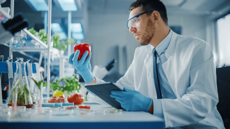 food safety and quality assurance