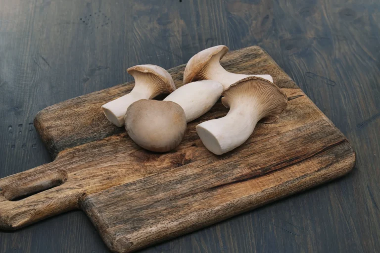 king trumpet mushroom