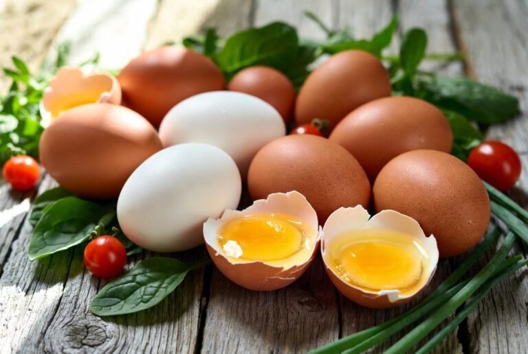 how many protein in an egg