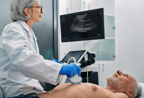 cardiovascular sonography